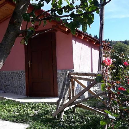 Villa Vrbena Exteriör bild
