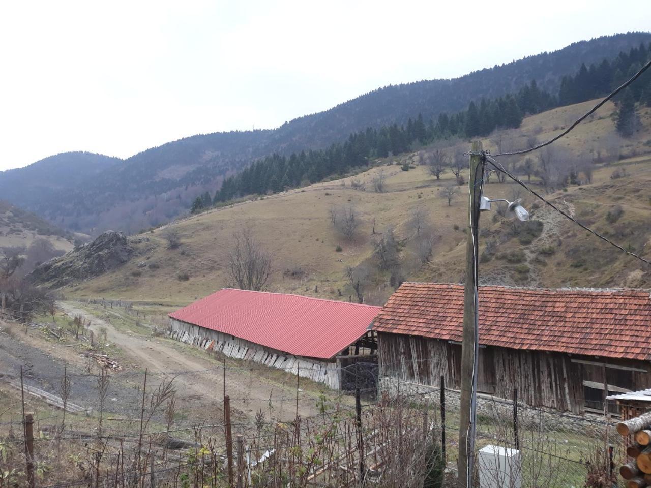 Villa Vrbena Exteriör bild